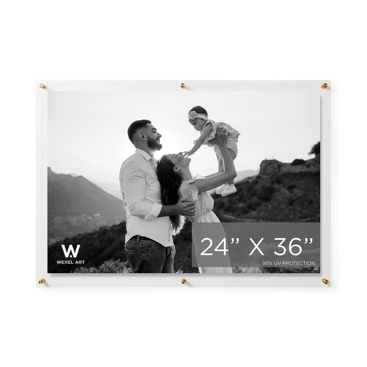 Wexel Art Double Panel Clear Acrylic Floating Wall Frame with Gold Hardware
